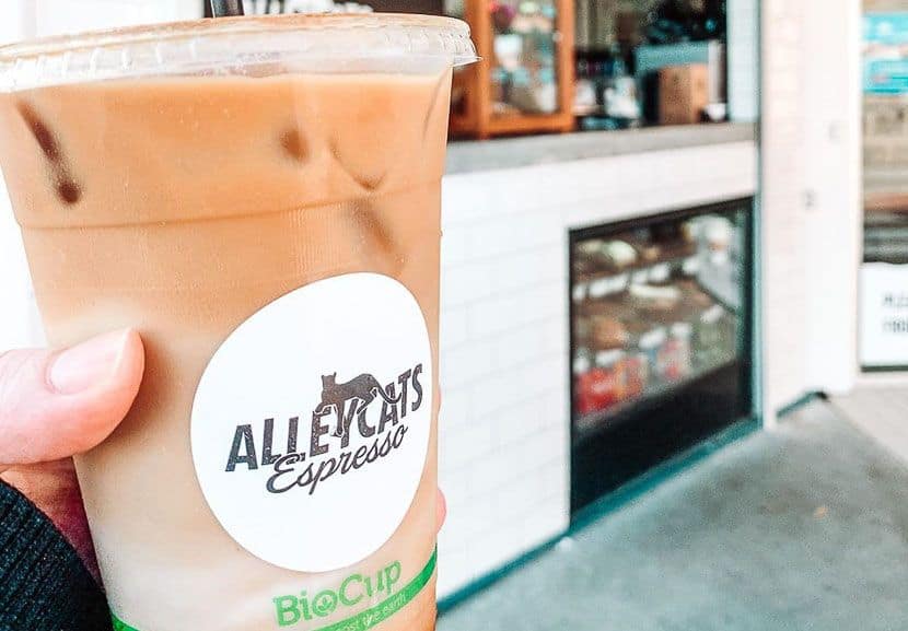 Iced coffee from Alleycat espresso.